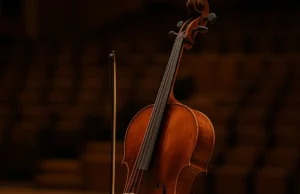 2024 VSA Instrument Making Competition Winners Revealed 2024 VSA Instrument Making Competition Winners Revealed