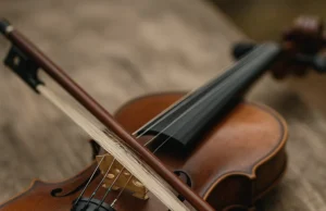 The Multifaceted History and Uses of Horsehair