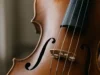 The Science and History Behind Violin F-Holes: A Renaissance Acoustic Innovation The Science and History Behind Violin F-Holes: A Renaissance Acoustic Innovation – Research & Innovation