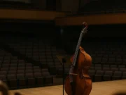 Reconsidering the Double Bass: A Perspective on Its Surprising Presence Reconsidering the Double Bass: A Perspective on Its Surprising Presence – Instruments