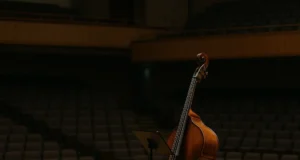 Reconsidering the Double Bass: A Perspective on Its Surprising Presence Reconsidering the Double Bass: A Perspective on Its Surprising Presence – Instruments