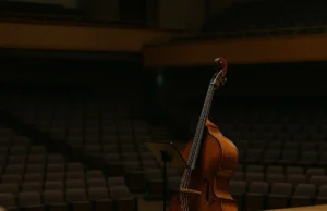 Reconsidering the Double Bass: A Perspective on Its Surprising Presence Reconsidering the Double Bass: A Perspective on Its Surprising Presence – Instruments